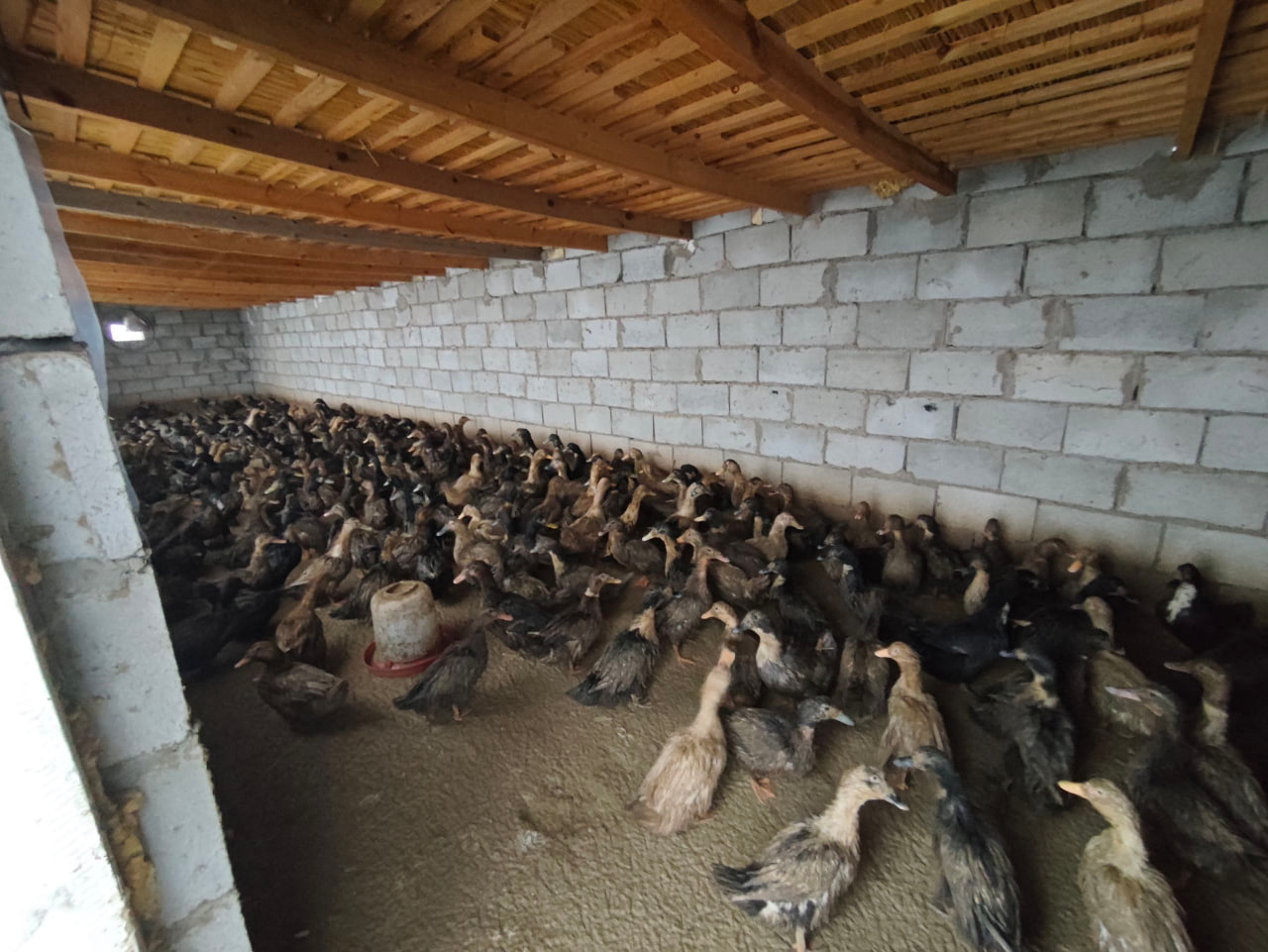 ЁРДАМЧИ ХЎЖАЛИКЛАР ФАОЛИЯТИ ЎРГАНИЛМОҚДА