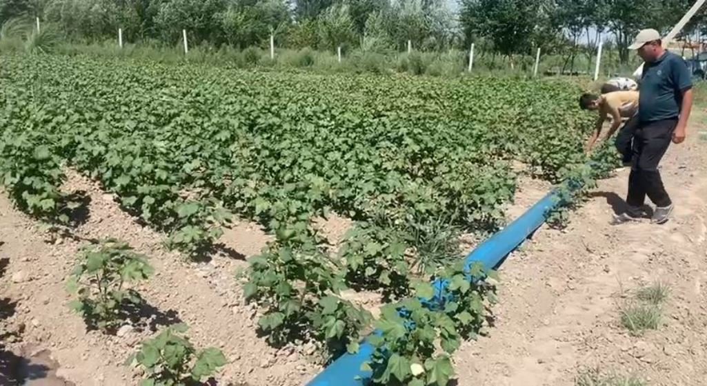 ЭГИЛУВЧАН ҚУВУРЛАР ЖОРИЙ ЭТИШ ҚАМРОВИ КЕНГАЙМОҚДА